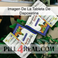 Dapoxetine Tablet Image 12